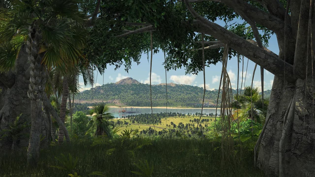 Vista do clima tropical por baixo de uma árvore enorme